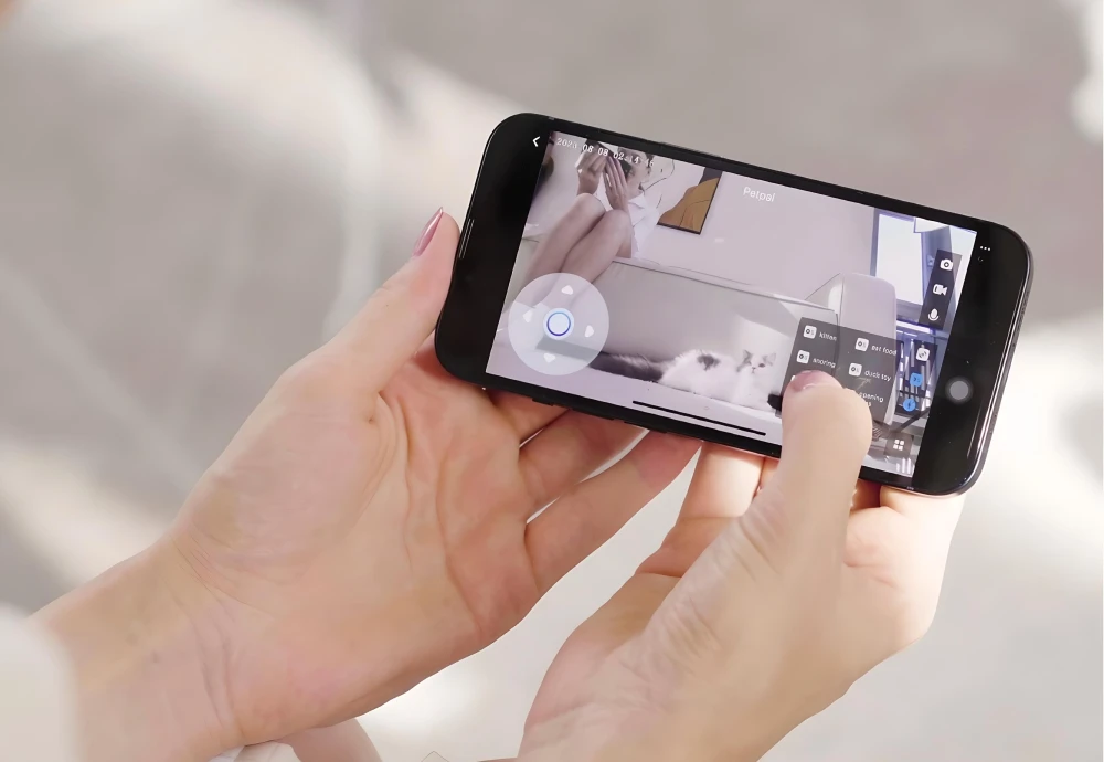 best pet watching camera