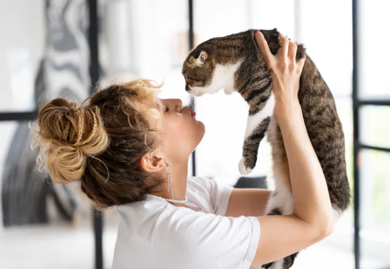 best in home pet camera