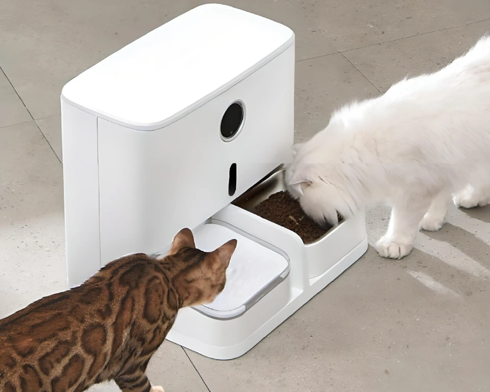 automatic small pet feeder