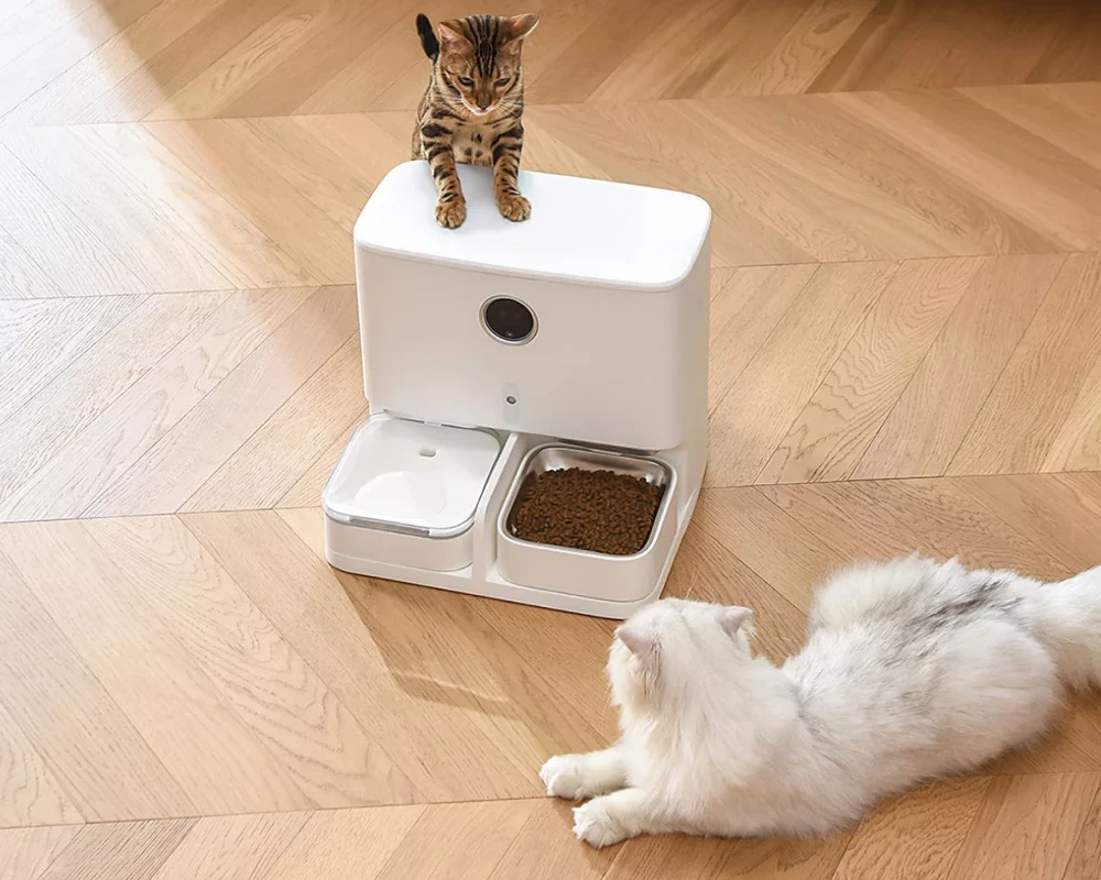 smart pet feeder with camera