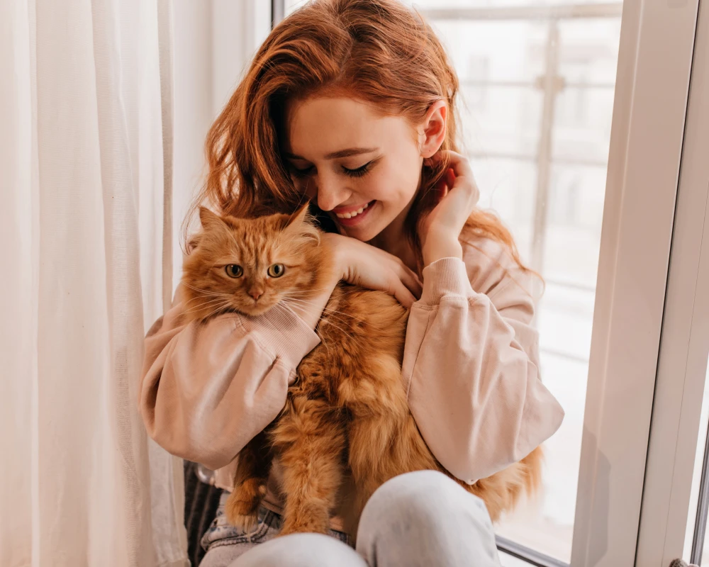 pet feeder automatic