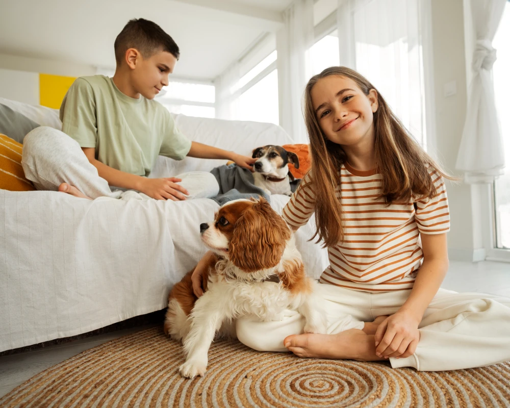 automatic dog feeder with camera