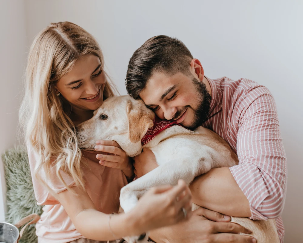 pet automatic feeder dispenser