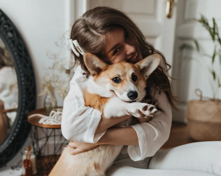 smart pet feeder with camera