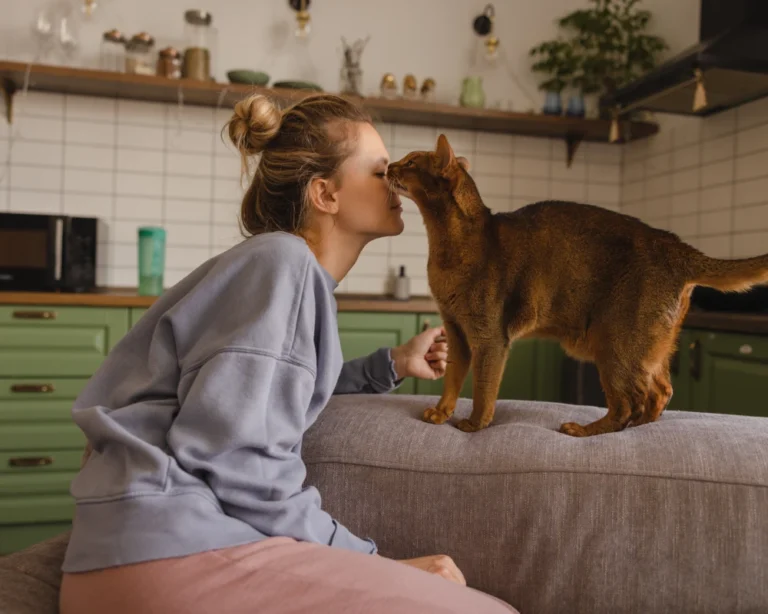 dog water feeder automatic